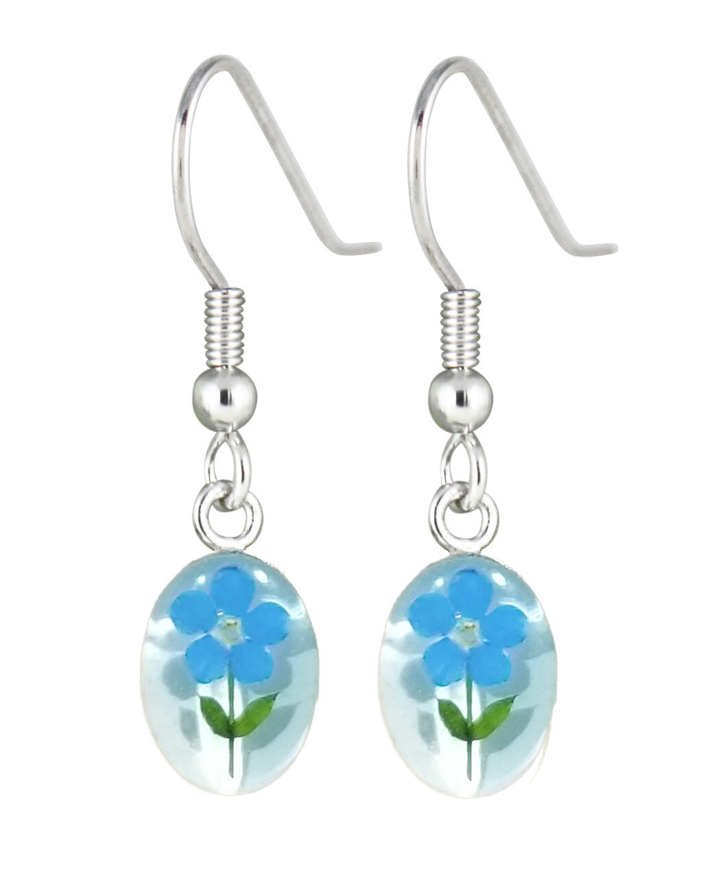 Real Forget-Me-Not, Oval Earrings, White Background. Real Forget-Me-Not, Oval Earrings, White Background.