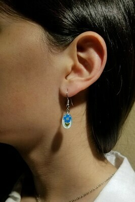 Real Forget-Me-Not, Oval Earrings, White Background.