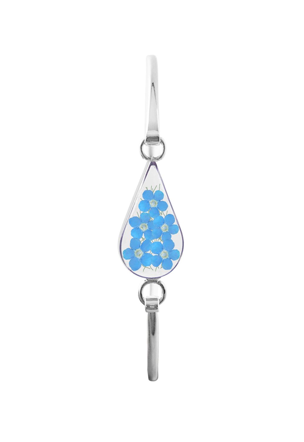 Teardrop Bracelet, 5 Real Forget-Me-Not Transparent Background. Teardrop Bracelet, 5 Real Forget-Me-Not Transparent Background.