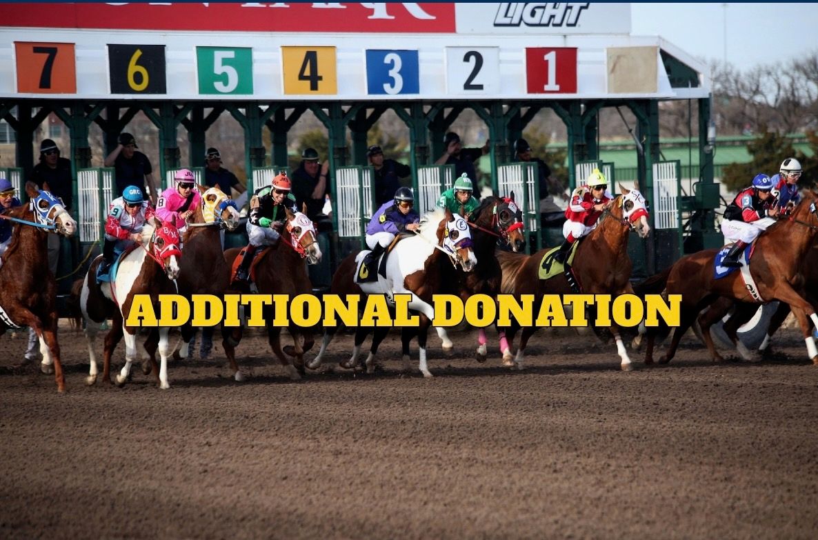 ADDITIONAL DONATION