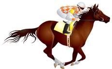 Sponsor/Name a Horse