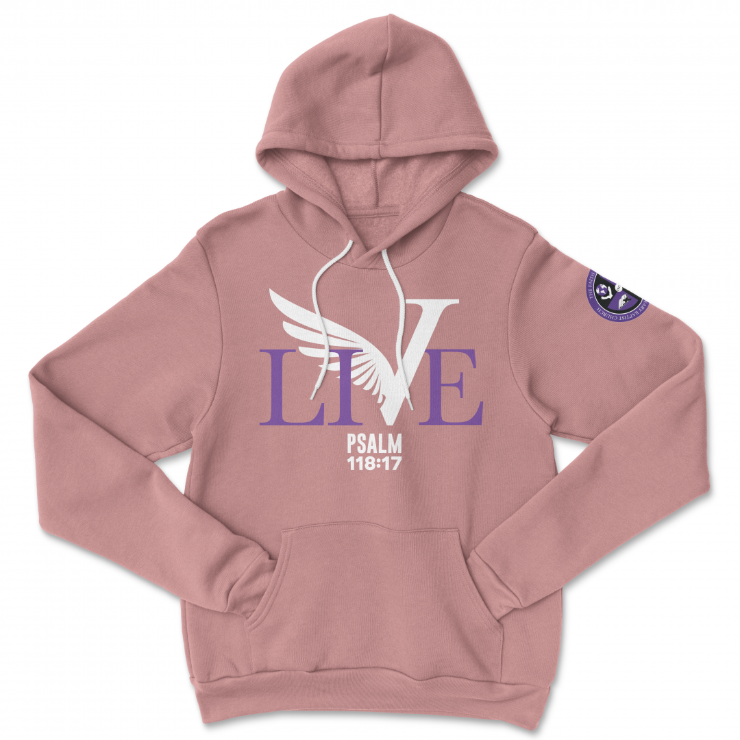 mauve nike hoodie