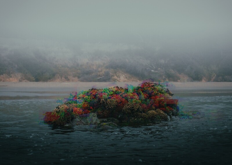 Coral Glitch