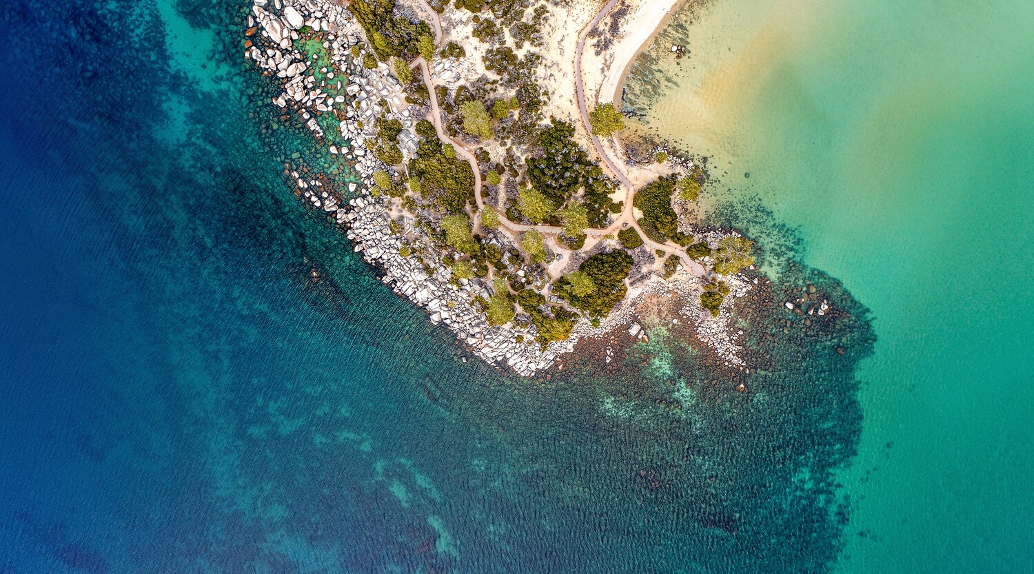 Tahoe Twist