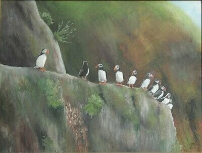 Puffins on a cliff