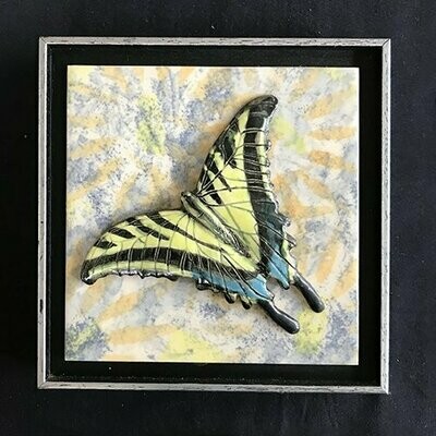 Eastern Tiger Swallowtail on Tile
