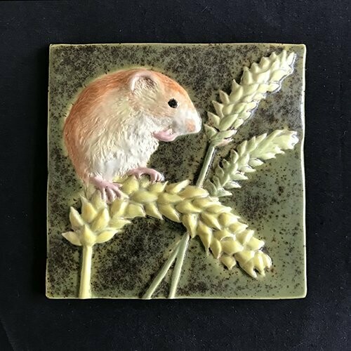 Field mouse 159
