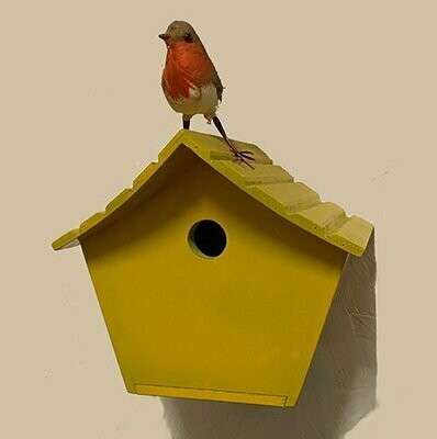 Yellow Bird Box