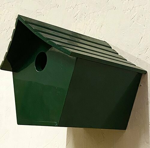 green bird box