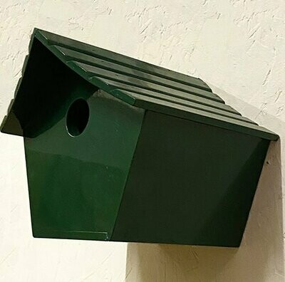 Green Bird Box