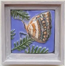 Butterfly on Fern