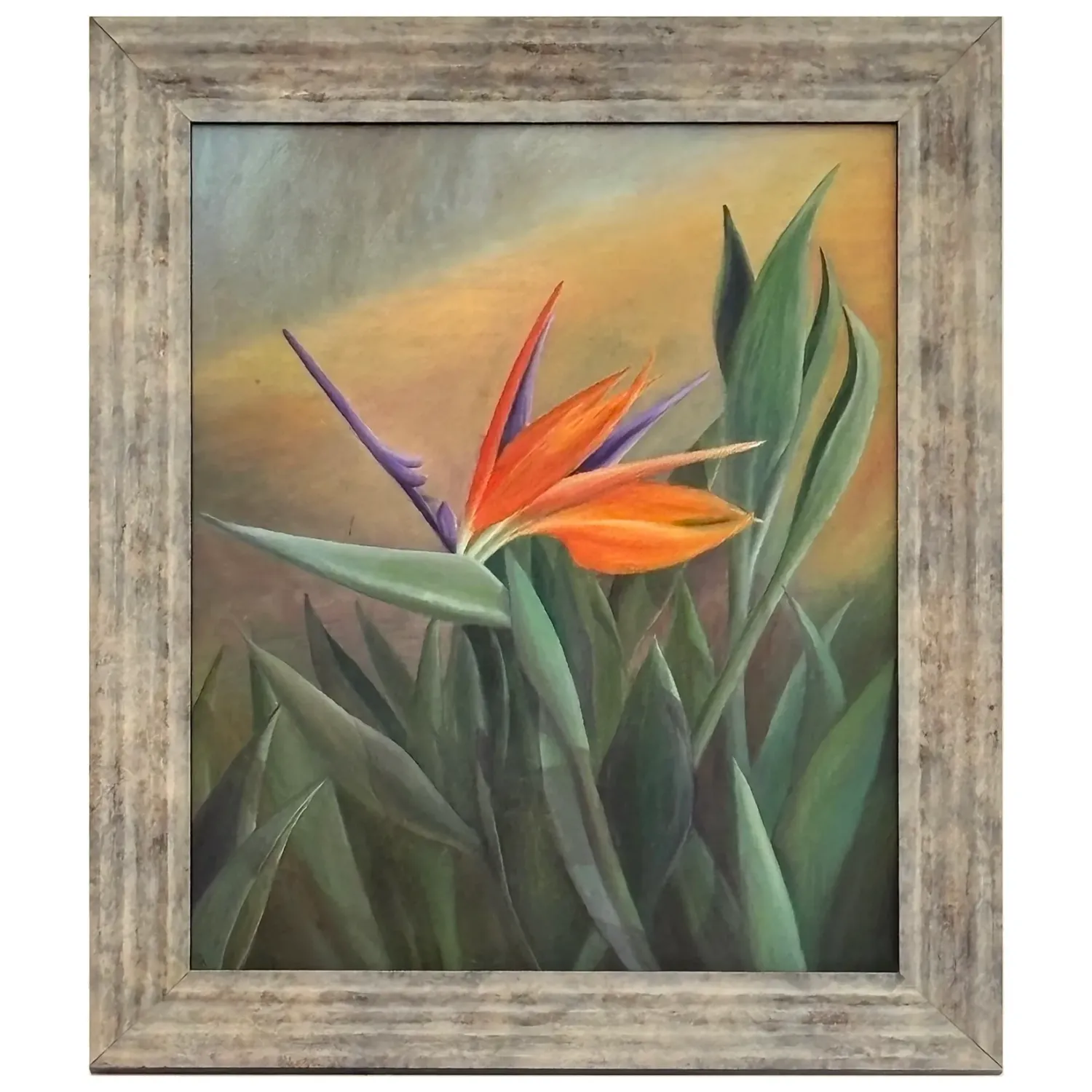 Bird of Paradise