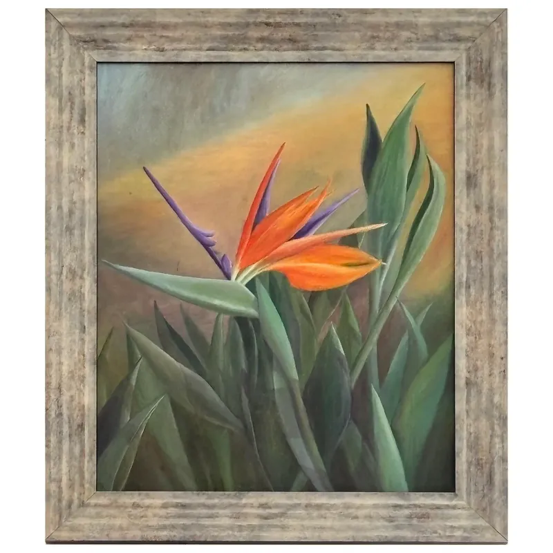 Bird of Paradise