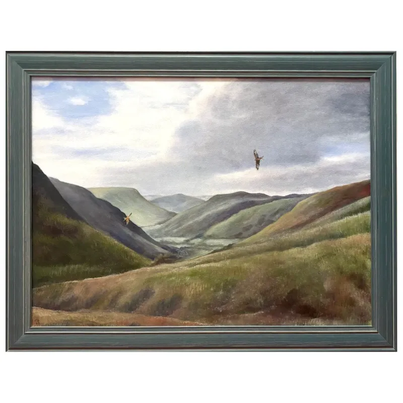 Original oil painting of mid wales hills near Dinas Mawddwy.
