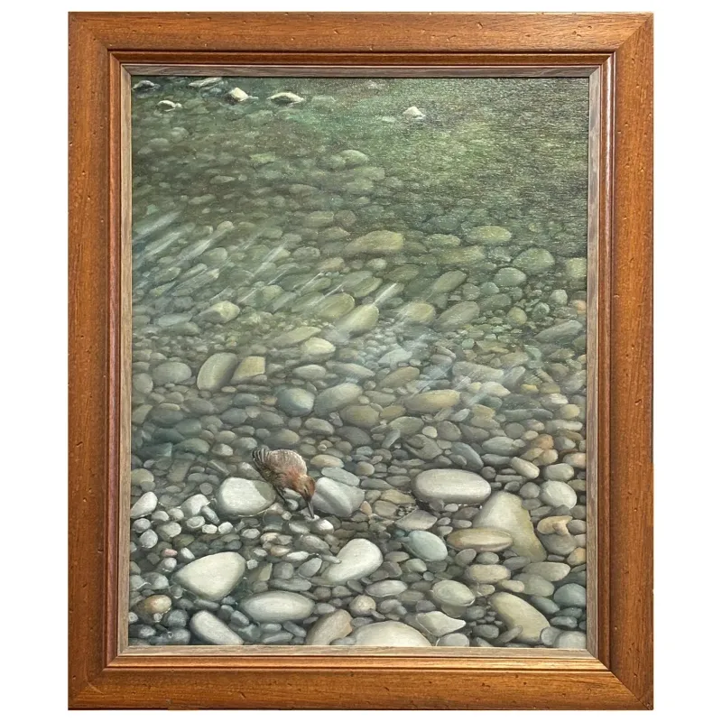 A beach pool with a Dunnock feeding amongst the pebbles.