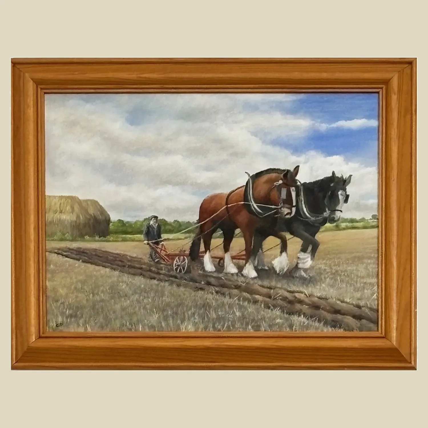 A pair of majestic shire horses pulling a plough