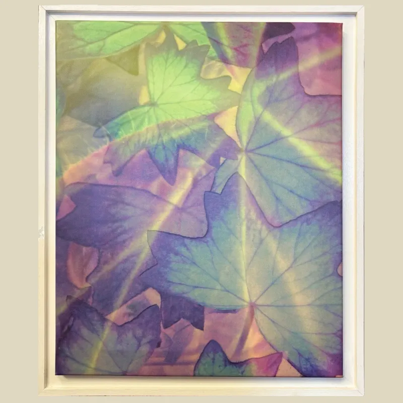 Digital painting  of a maple tree in purples and greens