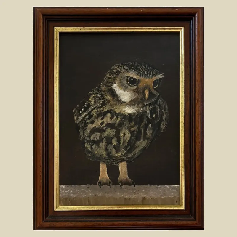 A detailed acrylic painting of a little owl