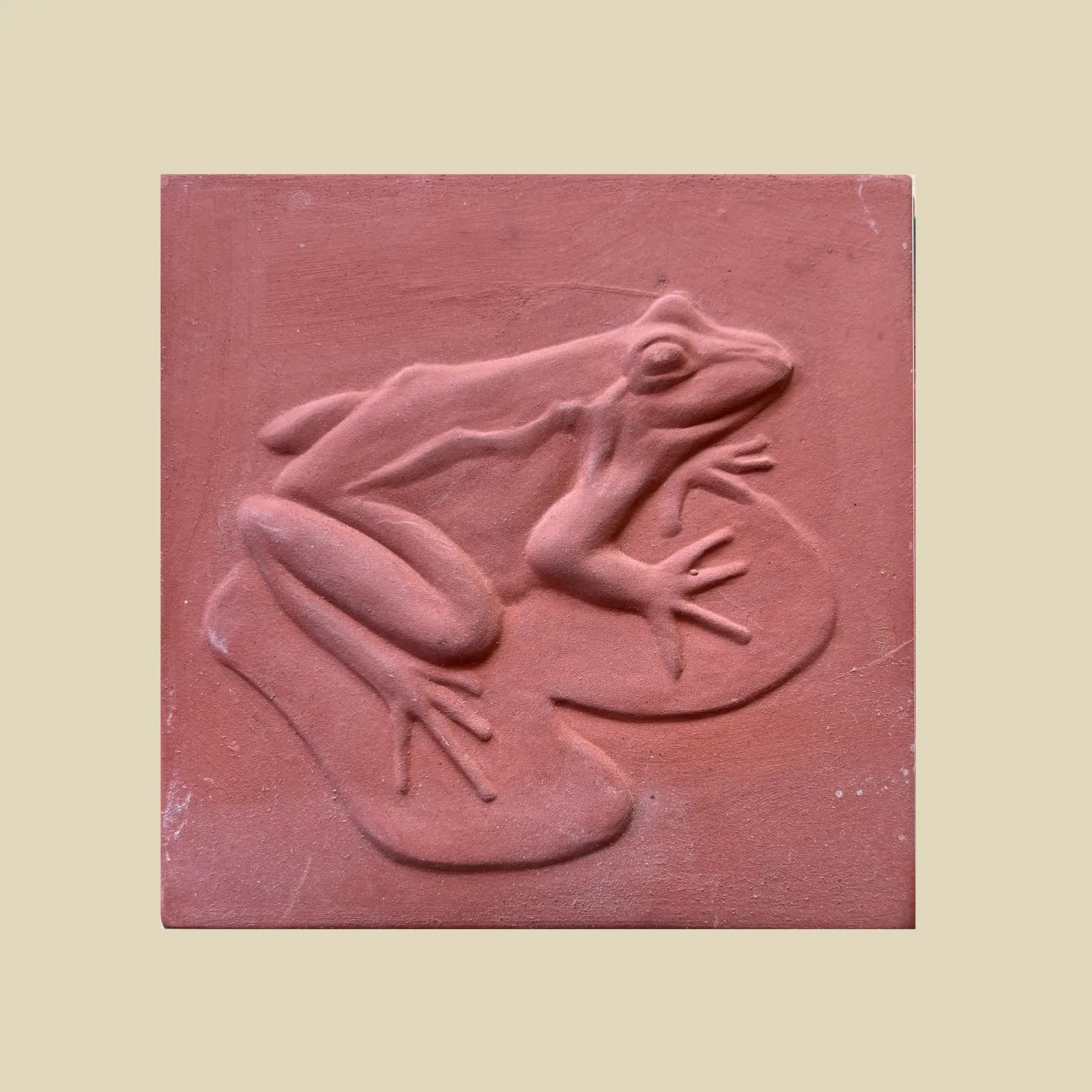 Frog on Lilypad