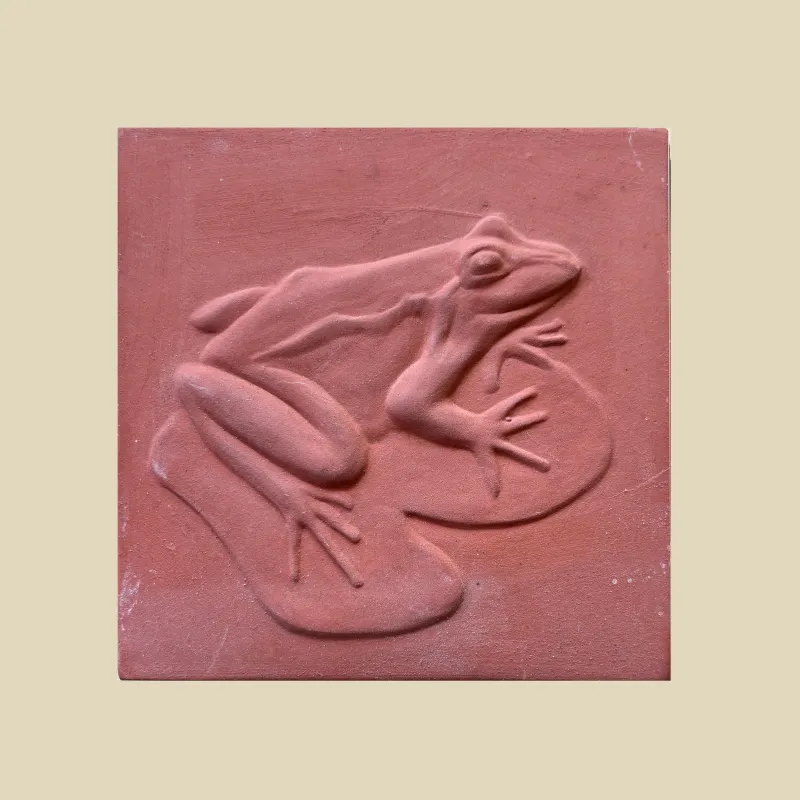 Frog on Lilypad