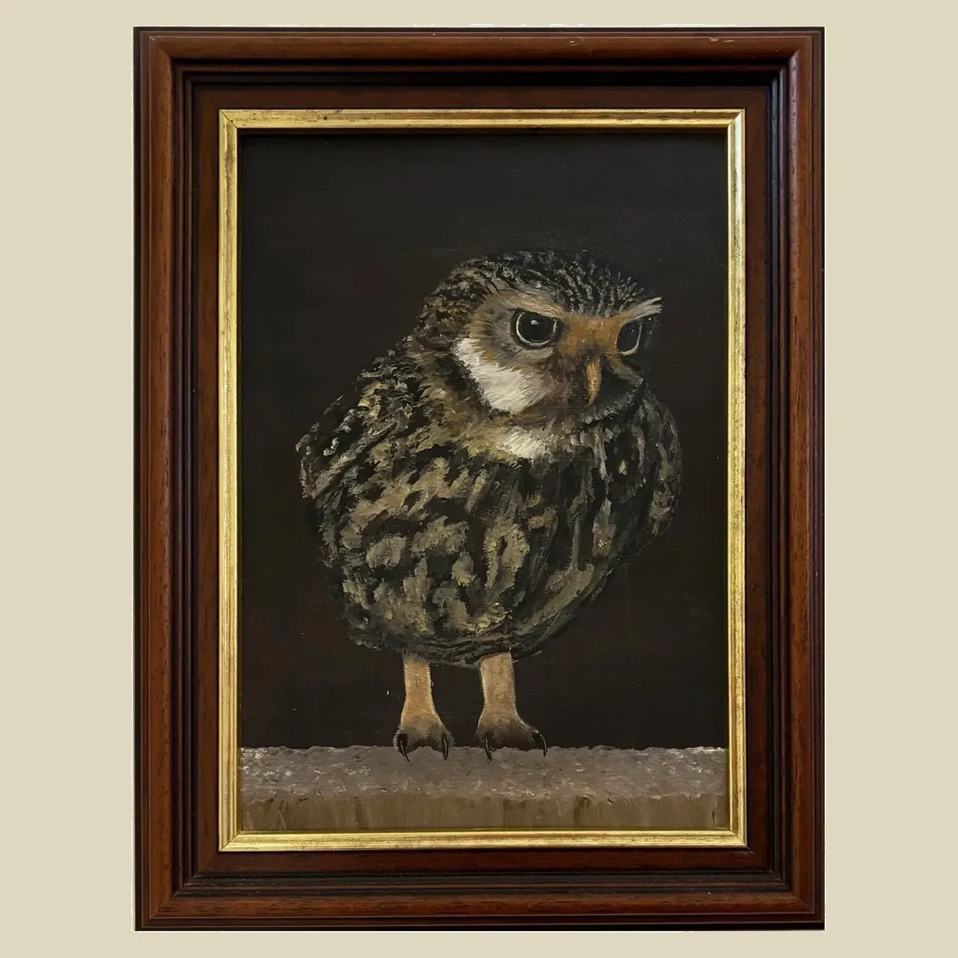 A detailed acrylic painting of a little owl
