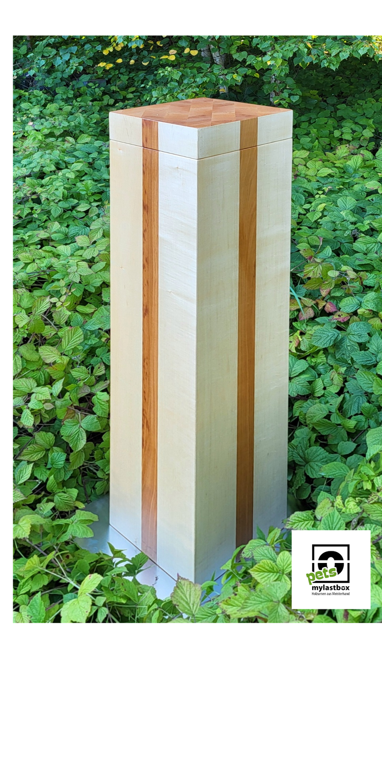 Pferdeurne in Ahorn mit Kirschbaumstreifen