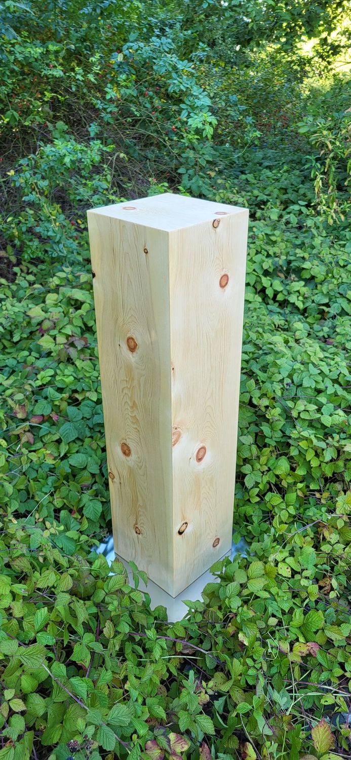 Pferdeurne in Zirbelkiefer