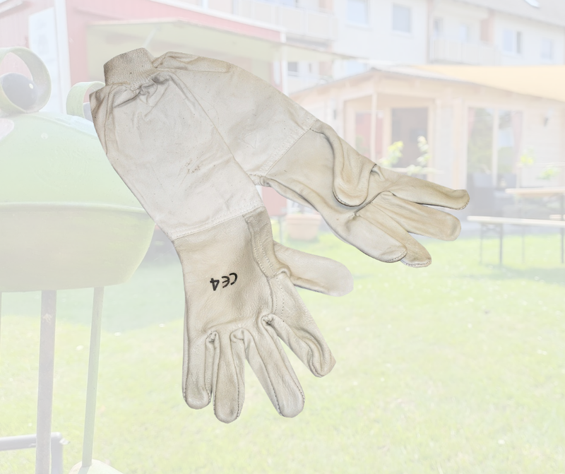 Kinder Lederhandschuhe