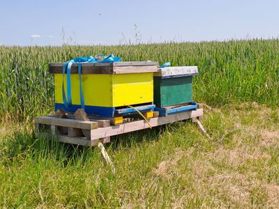 Für Bienenhalter