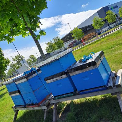 ? Volk „Summende Logistik“ – Immer pünktlich, immer fleißig