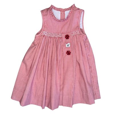 Spirit Trio Red Gingham Dress