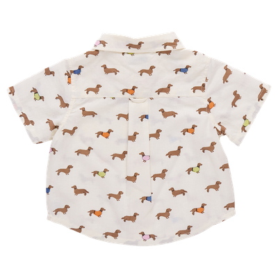 Jack Dachshunds In Sweaters Shirt