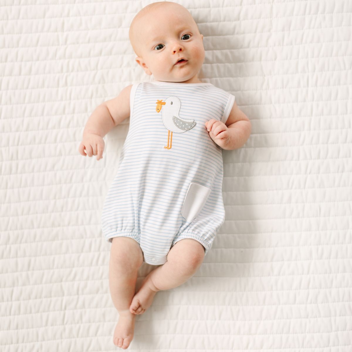 Seabird Shores Bubble