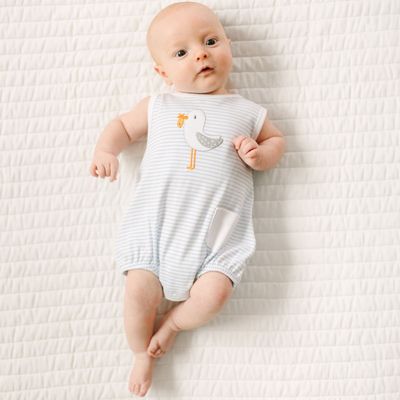 Seabird Shores Bubble