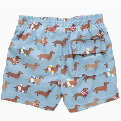 Dachshunds Swim Trunk