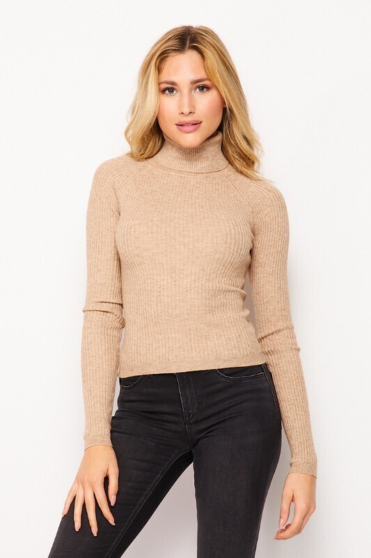 Solid Basic Casual Fitted Turtleneck