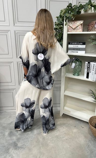 Aster grey