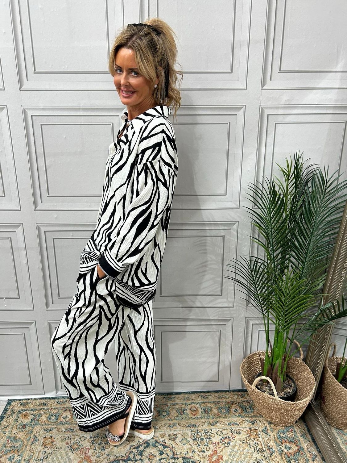 Savanna Zebra