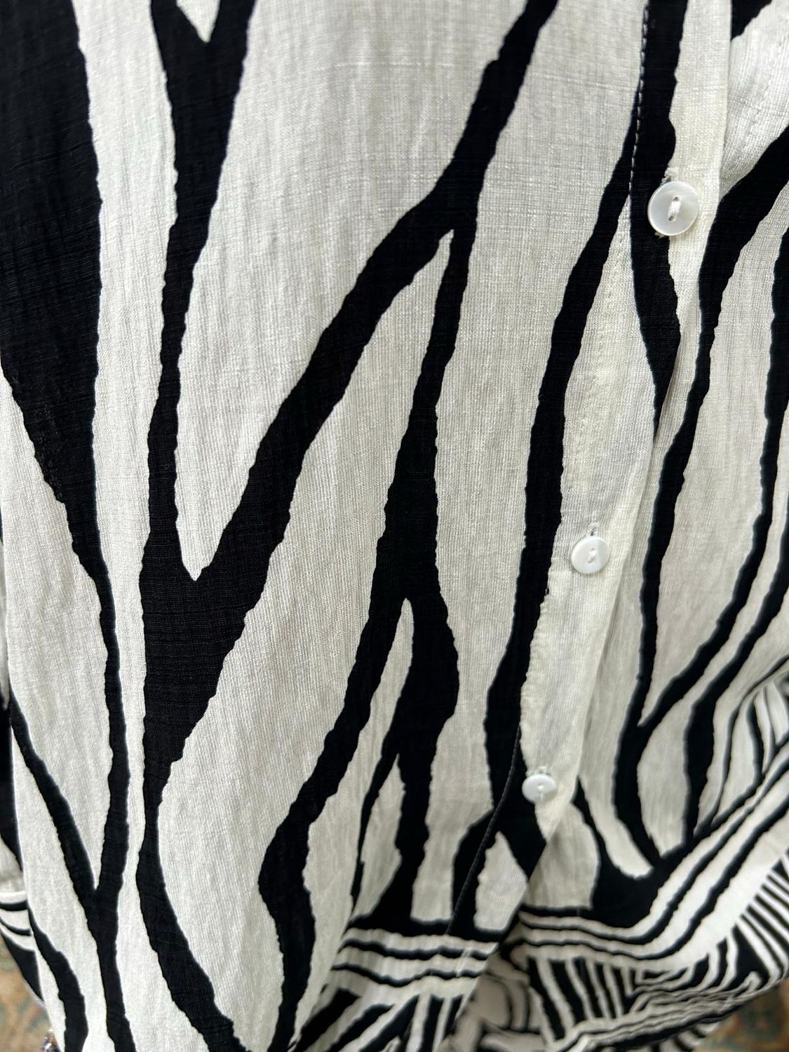 Savanna Zebra