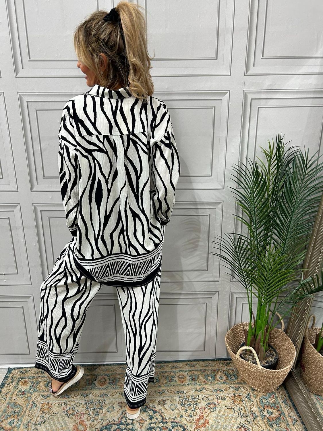 Savanna Zebra