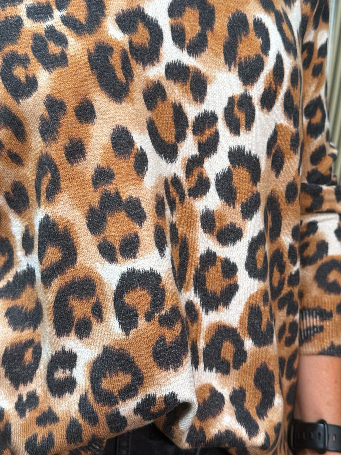 Leopard Print Knit Top