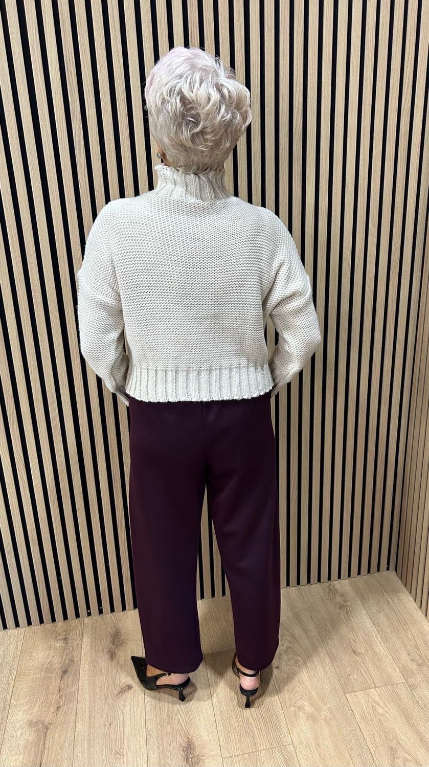 Pleated Front Stretch Trousers - Plum
