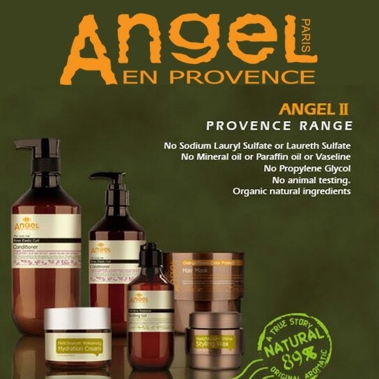 Angel Provance (Франция)