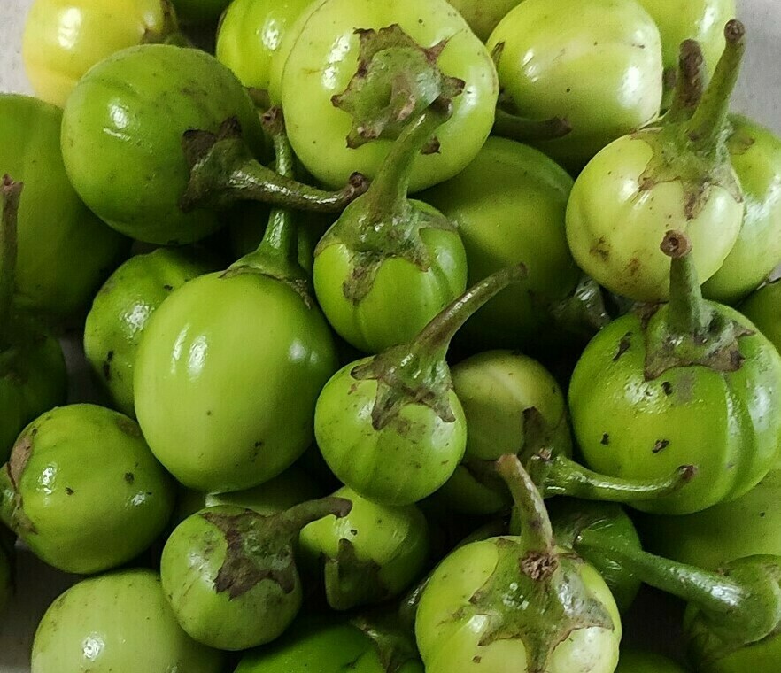 Turkey Berry (500g)