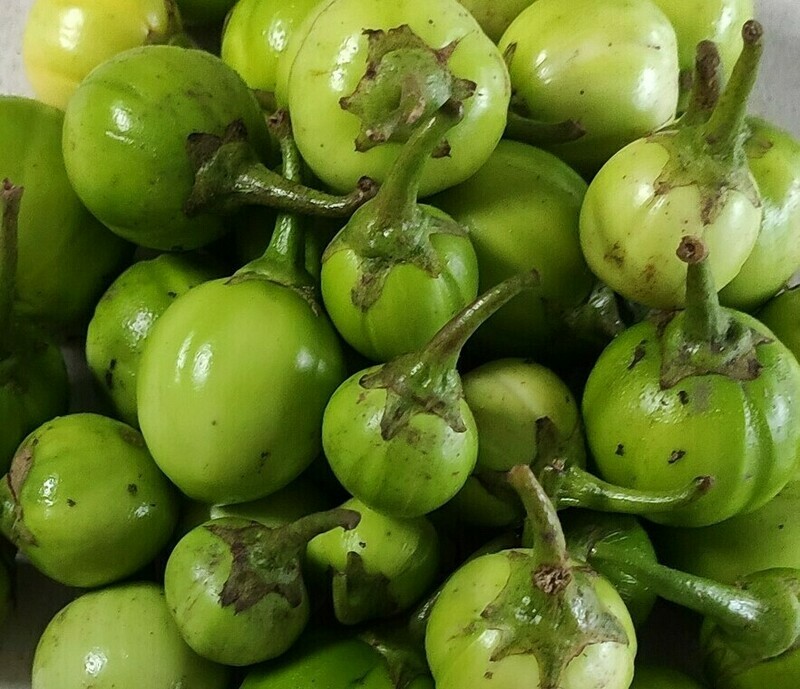 Turkey Berry (500g)