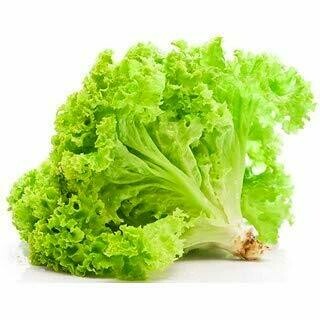 Lettuce (1Bunch)