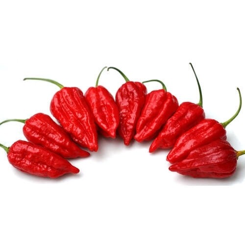 King Chilli (200g)