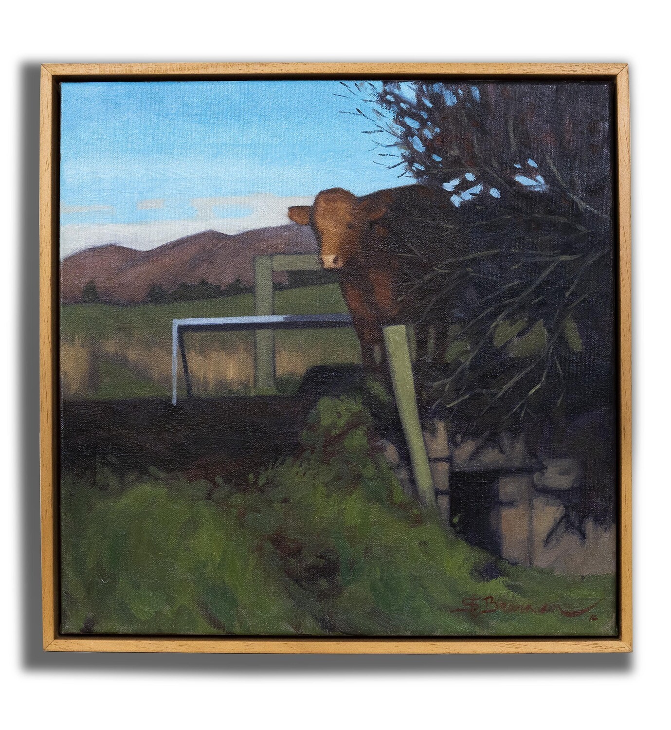 Stephen Brennan