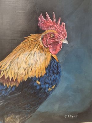 Celine Flynn- Good Morning Roster Celine Flynn- Good Morning Roster