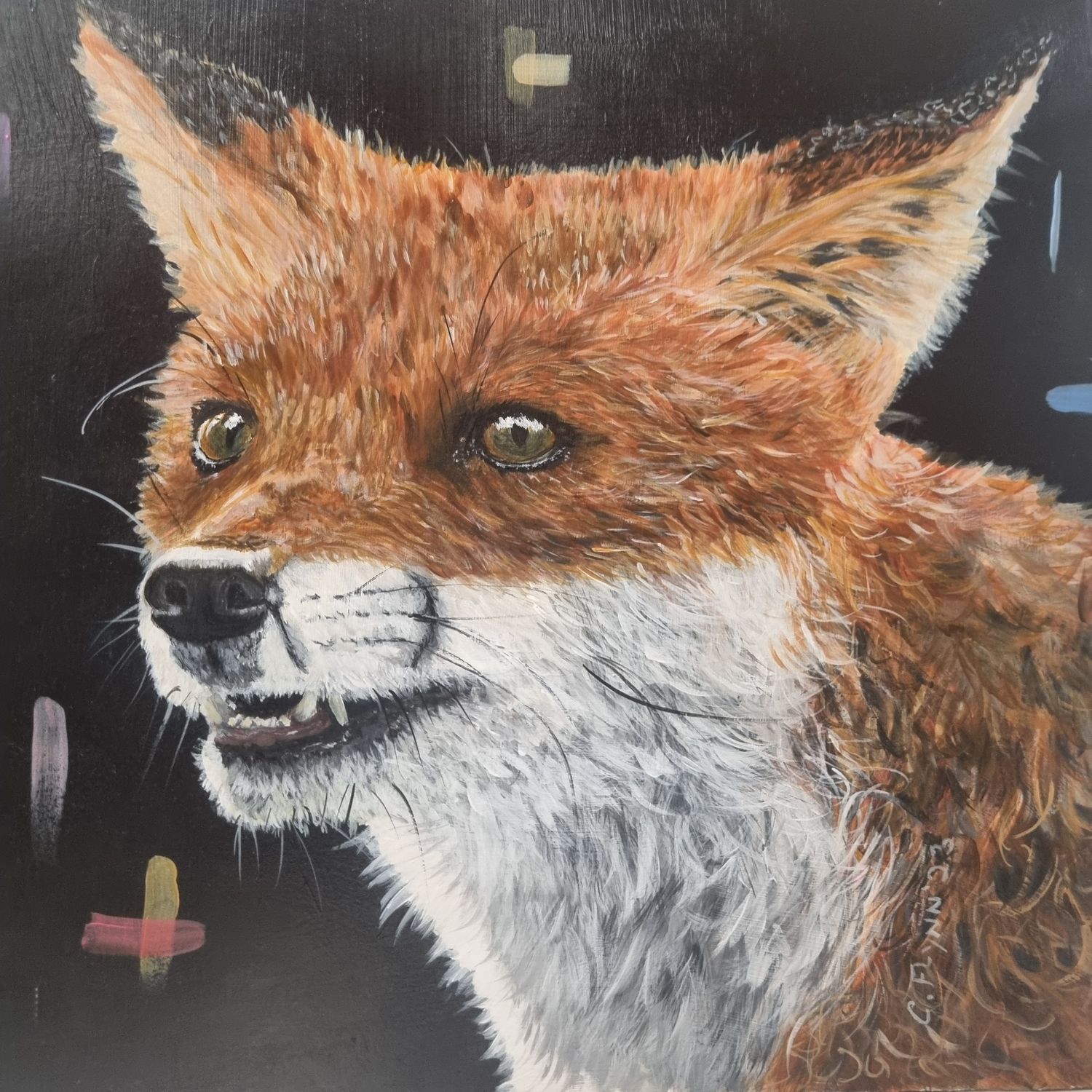 Celine Flynn- Urban Fox